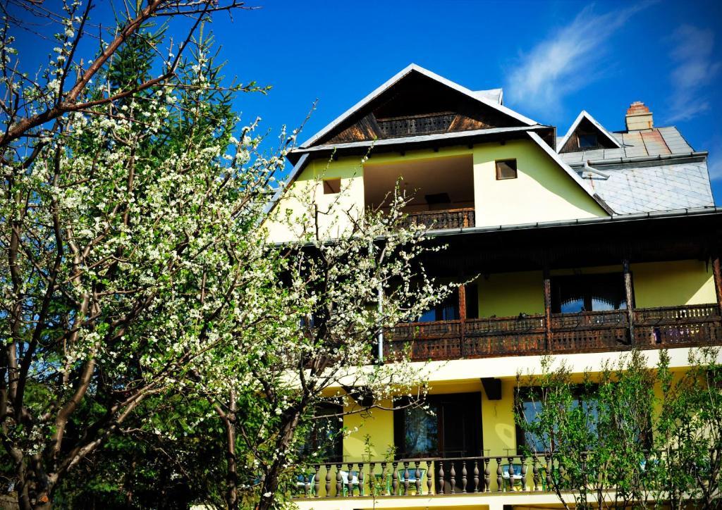 Pension Garofita Hotel Iasi Exterior photo